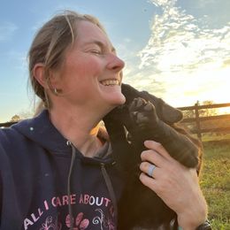Minerva - Labrador Retriever puppy from Blue Ridge Canine