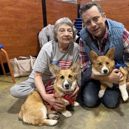Pembroke Welsh Corgi All Grown Up from Soaring Eagle Corgis