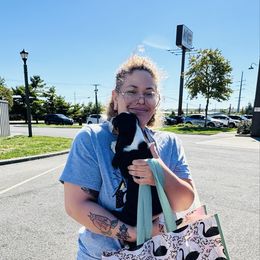Charlotte - Black brown and white female Basset Hound puppy in Bellaire, Ohio from Blessed Bassets