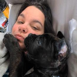 Cane Corso and Yorkshire Terrier Puppies from Exotic Yorkie Imports & Cessna Cane Corso