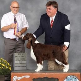 English Springer Spaniels from Coastal English Springers