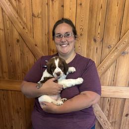 Fern - Tri-Roan female English Springer Spaniel puppy in Braidwood, Illinois from A & R Springers