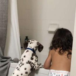 Dalmatian Puppies from Sublime Dalmatians