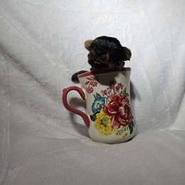 Yorkshire Terrier Puppies from Blueberry Hill Yorkies