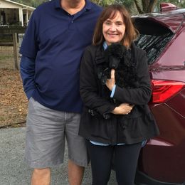 Poodle Puppies from Ocala Standard Poodles