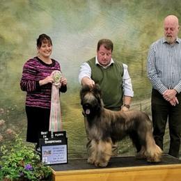 Briard All Grown Up from Davan's