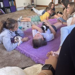 "Socializing with dog savvy children" Australian Shepherd Puppies from Mezzo Australian Shepherds