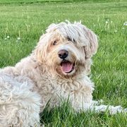 Rubin - Sporty Mix