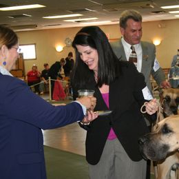 Great Dane All Grown Up from Weco Danes