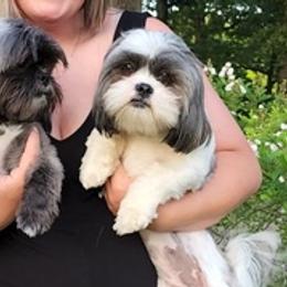 Shih Tzus from Wallace Babies