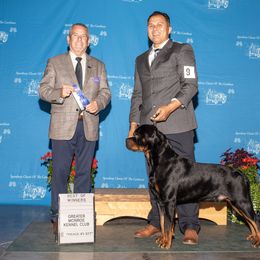Yamal - Rottweiler