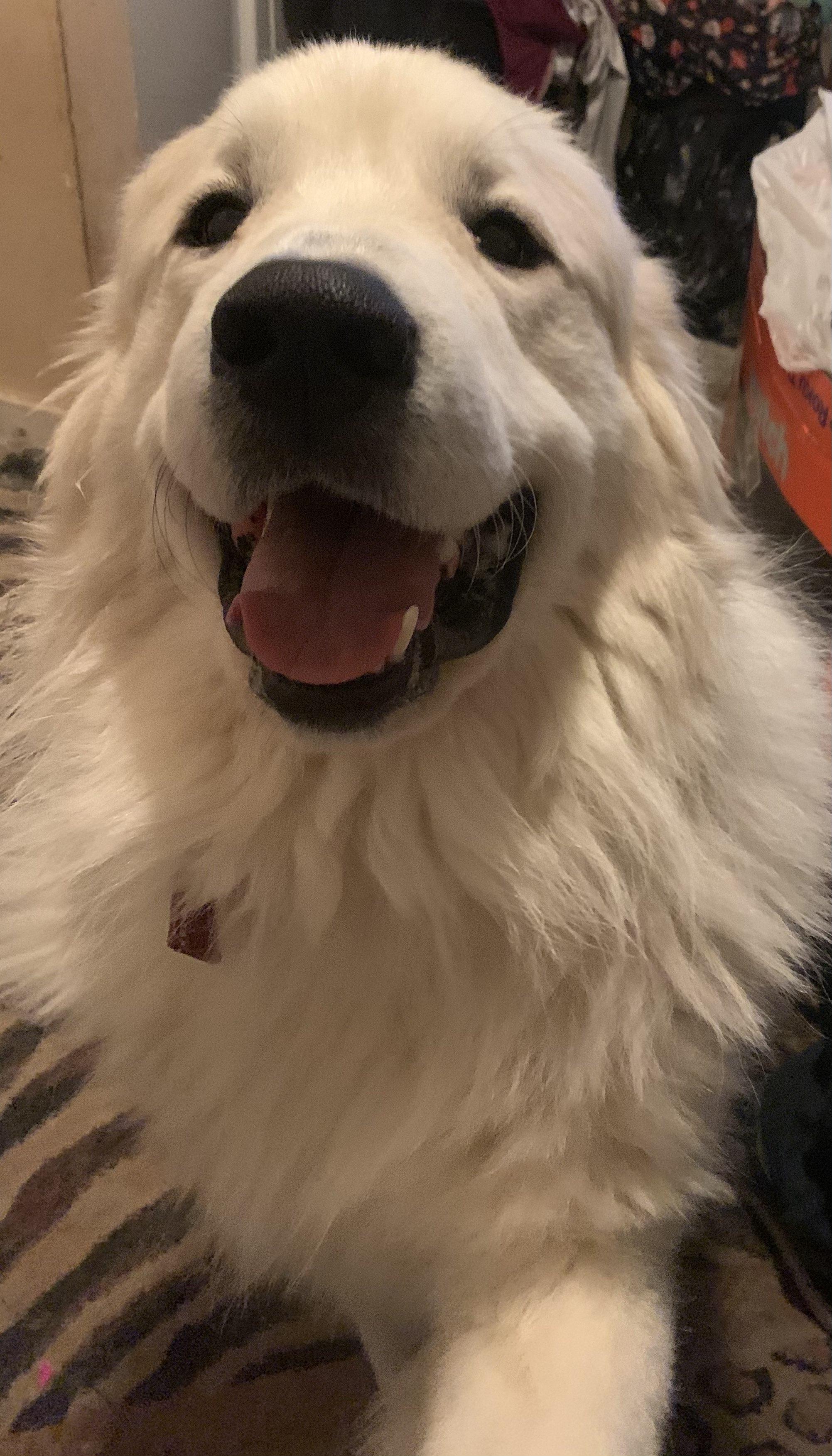 Gabe