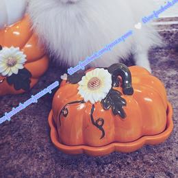 Luxe - AKC Champion Imported Bloodline - White male Pomeranian puppy in Albany, Oregon from Purrs N Poms