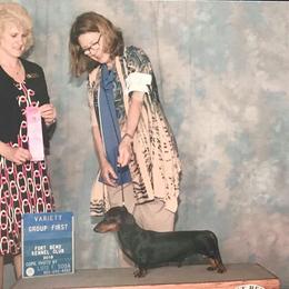 Hardy - Dachshund