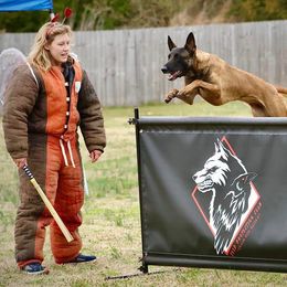 Creature - Belgian Malinois
