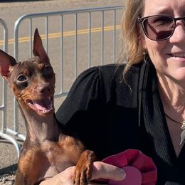 Turner - Miniature Pinscher