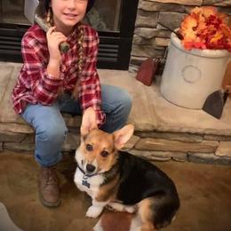 American Corgi, Miniature Australian Shepherd, and Pembroke Welsh Corgi Puppies from Rafter C Aussies & Corgis