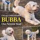 Bubba