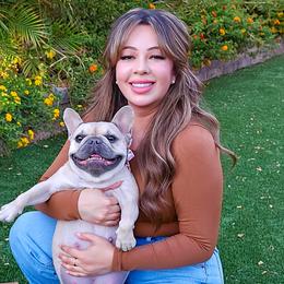 French Bulldogs from Sonia Orozco