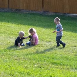 French Bulldog Puppies from Ginny's Frenchie's