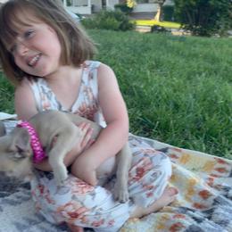 French Bulldog Puppies from Laurelwood Frenchies CA