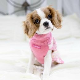 Cavalier King Charles Spaniel Puppies from Oakdale Cavaliers