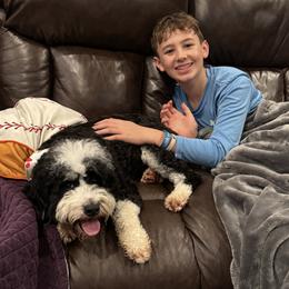 Diamond - Bernedoodle