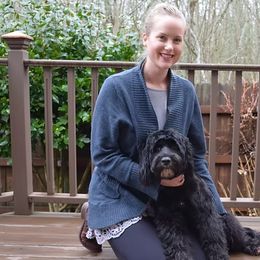 Portuguese Water Dogs from Portie Puppies