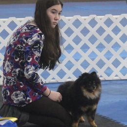 Pekingese, Pomeranians, and Poodles from Purple Diamonds Kennel
