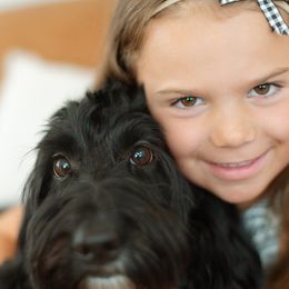 Bernedoodle All Grown Up from Noble Bernedoodles