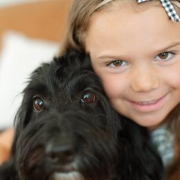 Bernedoodle All Grown Up from Noble Bernedoodles