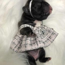 Elara - Brindle and white female French Bulldog puppy in Overland Park, Kansas from Simply Kind Frenchies