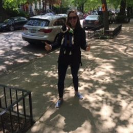 Boston Terrier Puppies from Achates Bostons