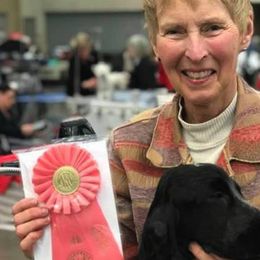 English Cocker Spaniels from Asherwood English Cockers