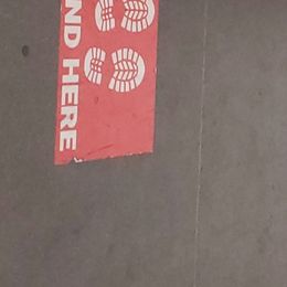 German Shepherd All Grown Up from Rust N Dust Kennels