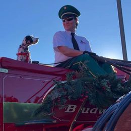 Dalmatian and Labrador Retriever Puppies from ECMO Farm Dalmatians & ECMO Farm Fox Red Labs