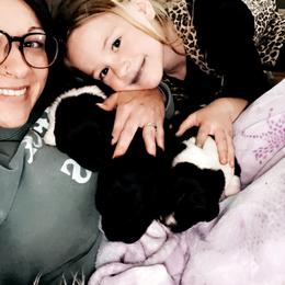 Newfoundland and Shih Tzu Puppies from Grand Meadow Newfoundlands