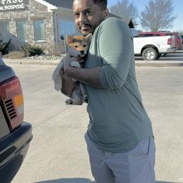 KIRIKO - Red female Shiba Inu puppy in Derby, Kansas from Heart’s Desire Shiba Inus