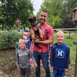 German Shepherd Puppies from Von Hoene Heritage Shepherds