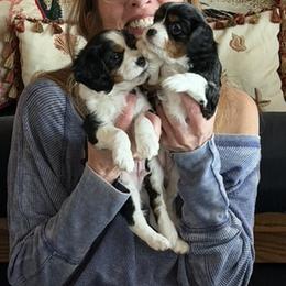 Cavalier King Charles Spaniel Puppies from Outerlochen Kennel
