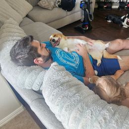 Pumpkin 🎃 - Pembroke Welsh Corgi