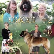 Gucci - Leonberger