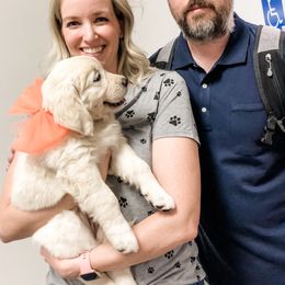 Golden Retriever Puppies from Dry Canyon Goldens