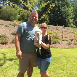 Golden Retriever Puppies from Suncoast Goldens