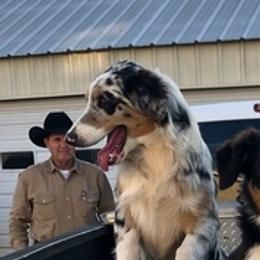 Australian Shepherds from Bobbye Rucker's Australian Shepherds