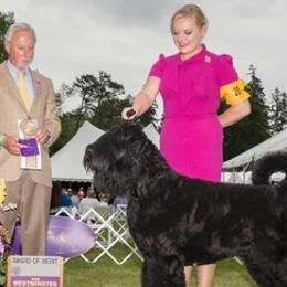 Black Russian Terriers from Cherryhills Black Russian Terriers