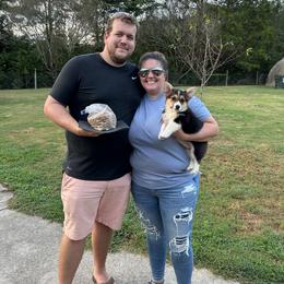 Pembroke Welsh Corgi Puppies from Rollnoaks & Cottontail AKC Pembroke Welsh Corgis