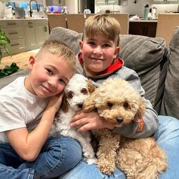 Goldendoodle Puppies from Halo Doodles