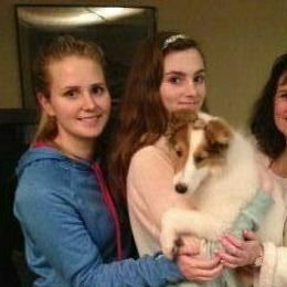 Collie Puppies from Frandelhi's Collies
