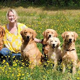 Golden Retriever Puppies from Sheaman Farm